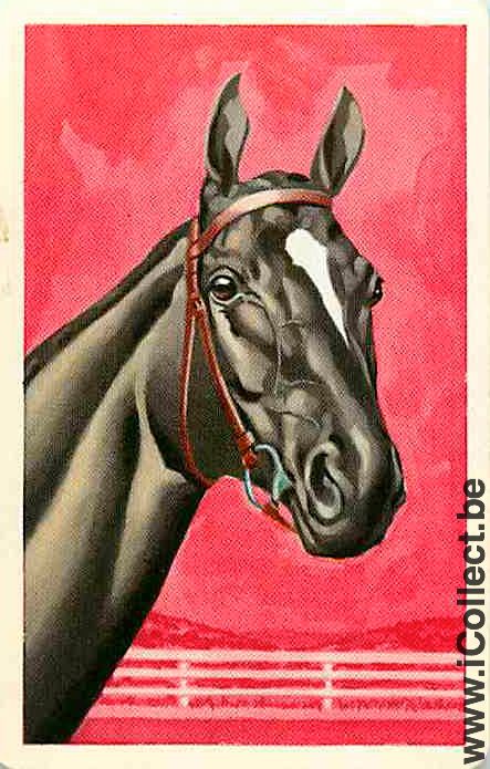 Single Playing Cards Horse Head to Right (PS04-57H)