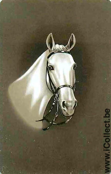 Single Playing Cards Horse Head to Right (PS04-58C)