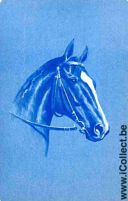 Single Playing Cards Horse Head to Right (PS04-58I)