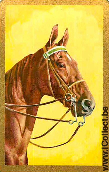Single Playing Cards Horse Head to Right (PS08-10I)