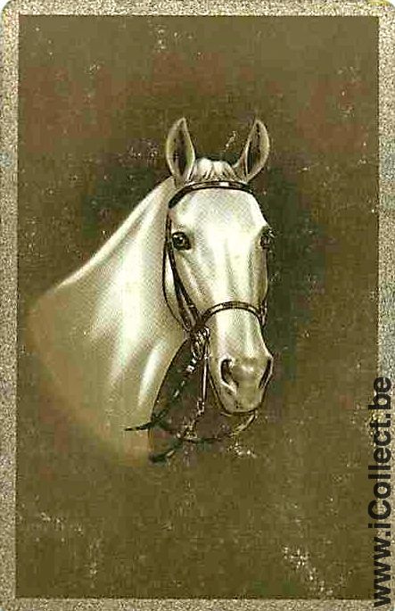 Single Playing Cards Horse Head to Right (PS08-11C)