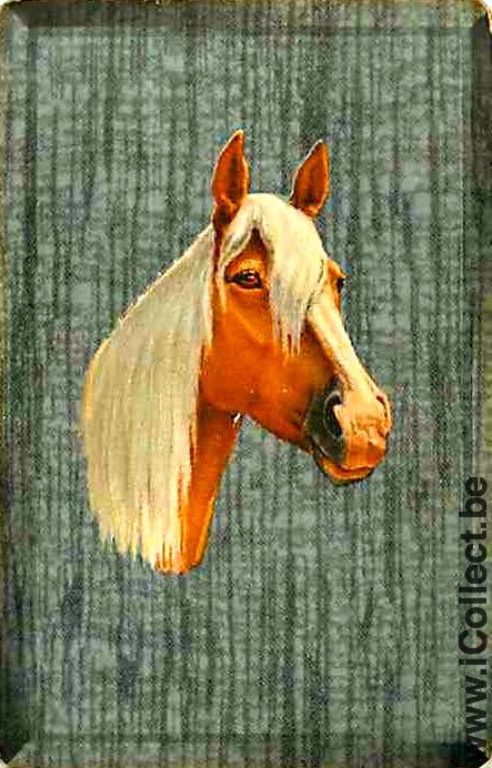 Single Playing Cards Horse Head to Right (PS08-11F)