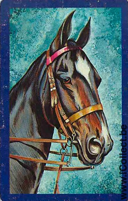 Single Playing Cards Horse Head to Right (PS13-16B)