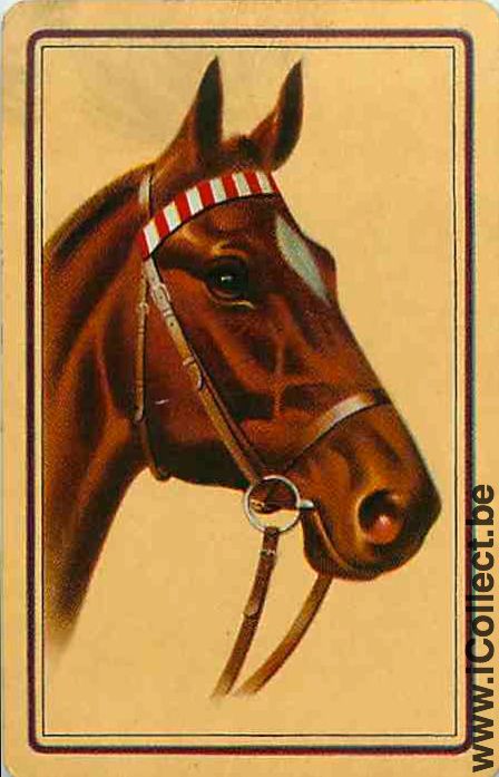 Single Swap Playing Cards Horse Head to Right (PS13-16D)
