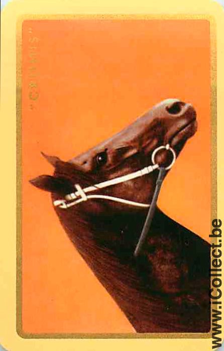 Single Swap Playing Cards Horse Head to Right (PS13-16E)