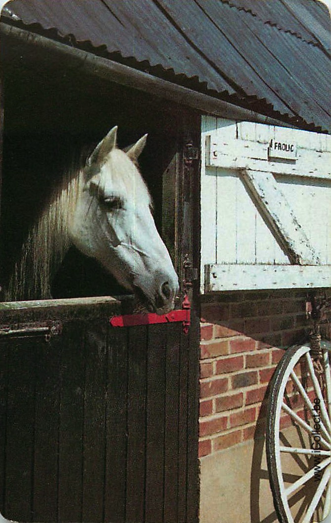 Single Swap Playing Cards Horse Head in a box (PS13-06A)