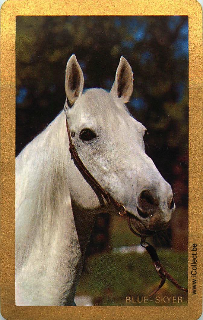 Single Swap Playing Cards Horse Blue Skyer (PS05-26F) - Click Image to Close