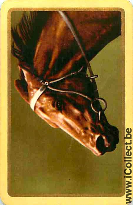 Single Swap Playing Cards Horse Head Carioca (PS05-22C)