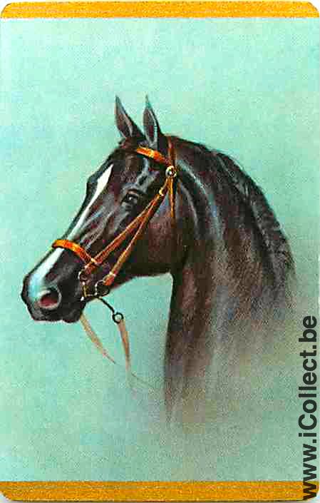 Single Horse Head to Left (PS05-23A) - Click Image to Close