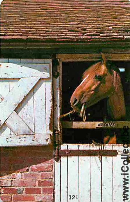 Single Swap Playing Cards Horse Head to Left (PS09-15C)