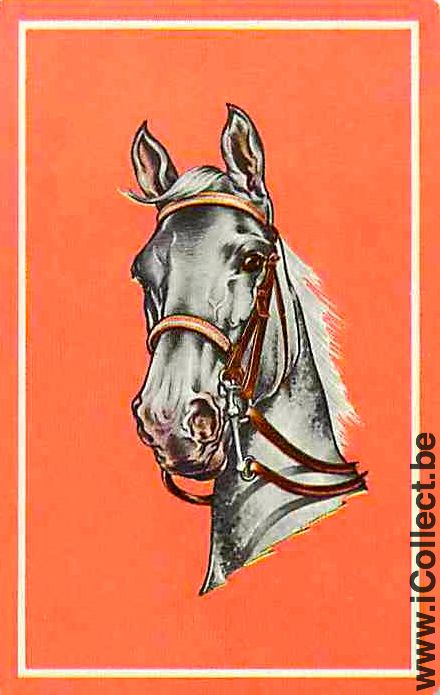 Single Playing Cards Horse Head to Left (PS02-55G) - Click Image to Close
