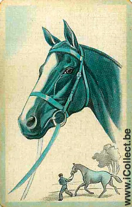 Single Playing Cards Horse Head to Left (PS02-56A)