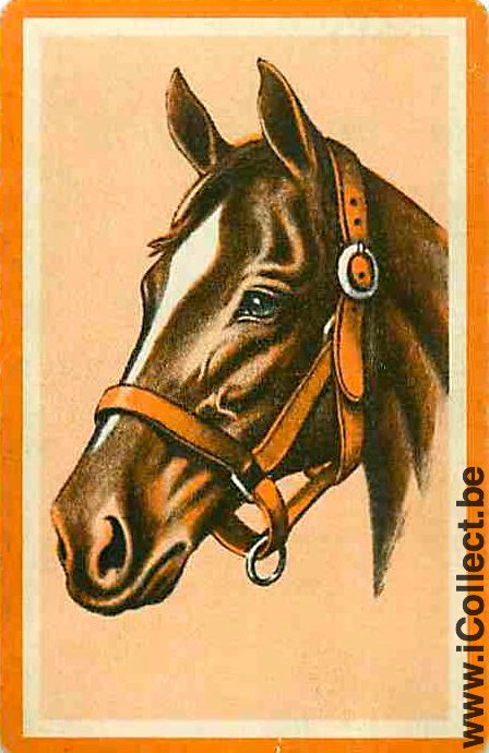 Single Playing Cards Horse Head to Left (PS02-57C)