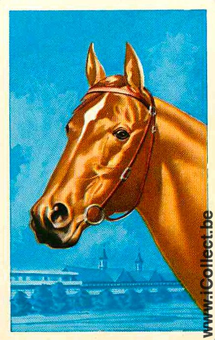 Single Playing Cards Horse Head to Left (PS02-57D) - Click Image to Close