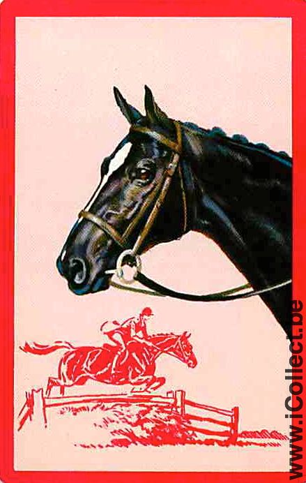 Single Playing Cards Horse Head to Left (PS02-57F) - Click Image to Close