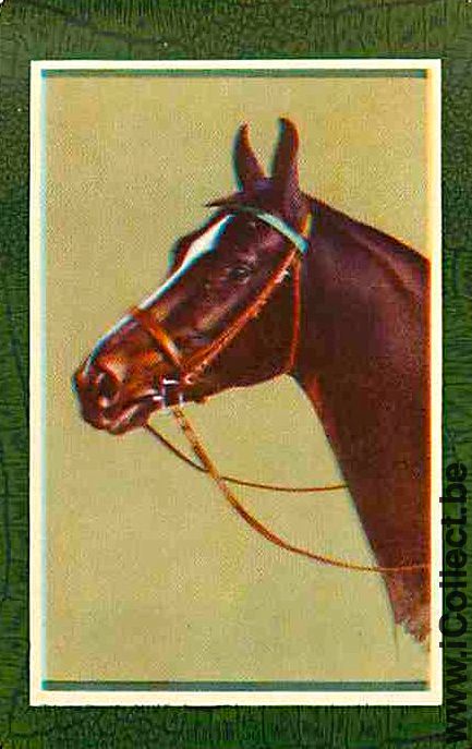 Single Playing Cards Horse Head to Left (PS02-57G) - Click Image to Close