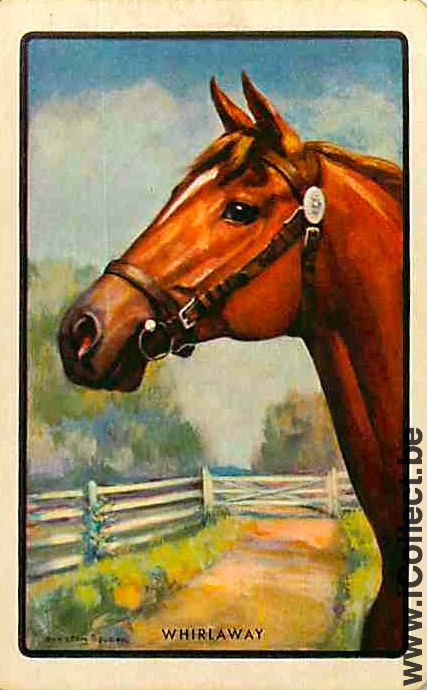 Single Playing Cards Horse Head to Left (PS08-09G)