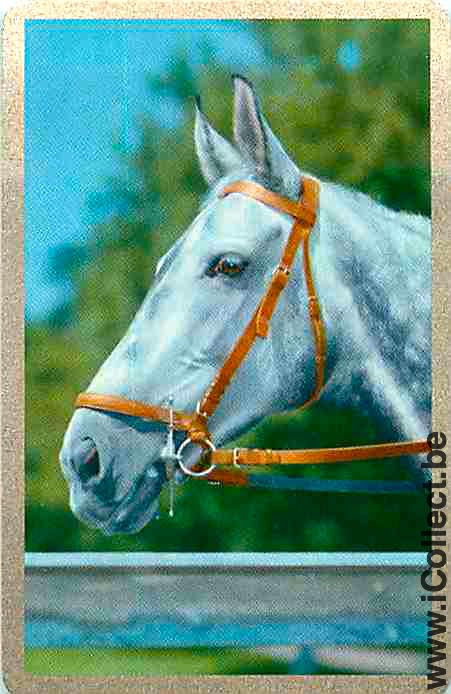 Single Playing Cards Horse Head to Left (PS08-09H)