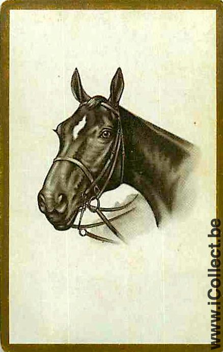 Single Playing Cards Horse Head to Left (PS08-10C)
