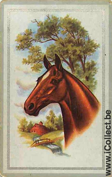 Single Playing Cards Horse Head (PS10-25I)