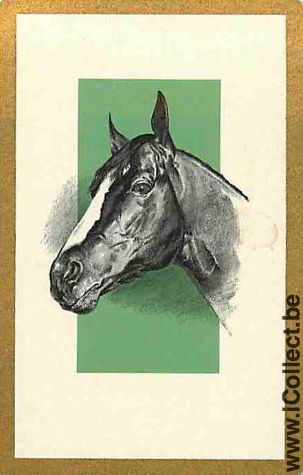 Single Playing Cards Horse Head to Left (PS13-16G)