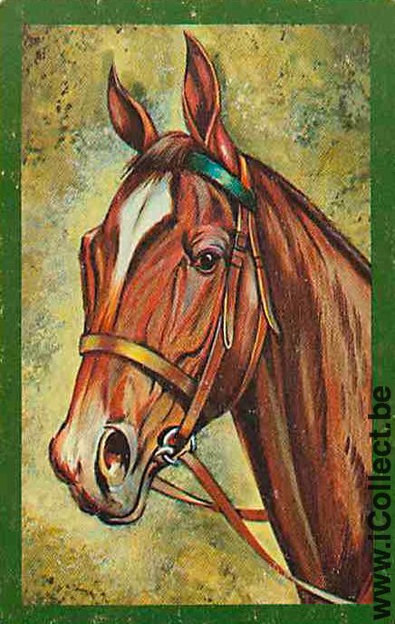 Single Playing Cards Horse Head to Left (PS13-16H)
