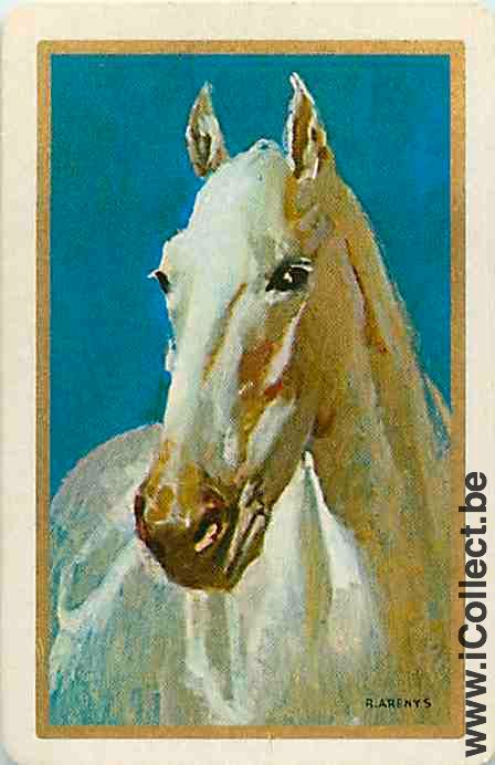 Single Swap Playing Cards Horse Head R. Arenys (PS14-50G)