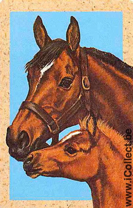 Single Playing Cards Horse Two Heads (PS04-59I)