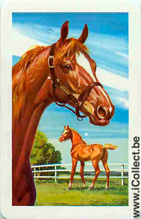 Single Playing Cards Horse Double (PS08-34G)