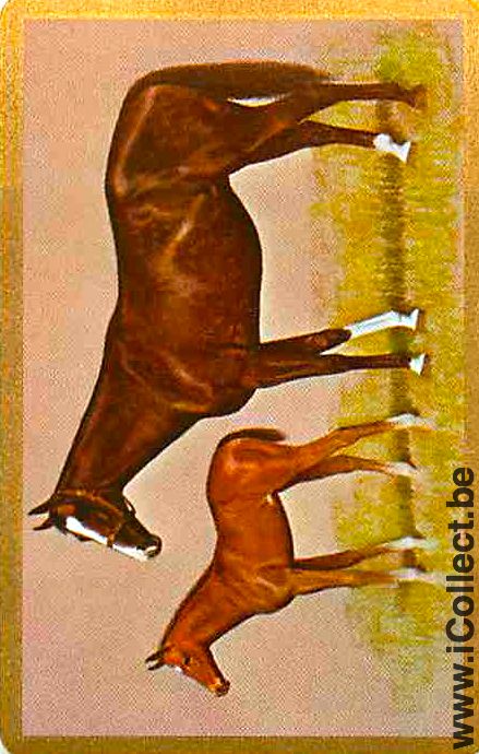 Single Swap Playing Cards Horse Double (PS08-35B)