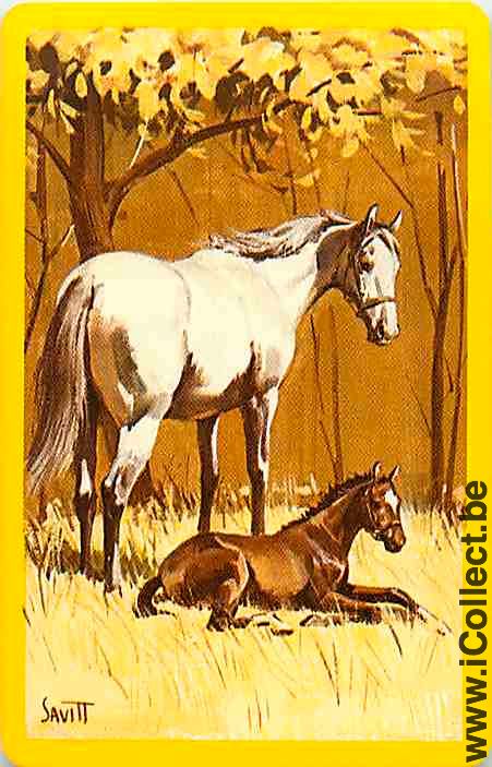 Single Swap Playing Cards Horse (PS13-19A)