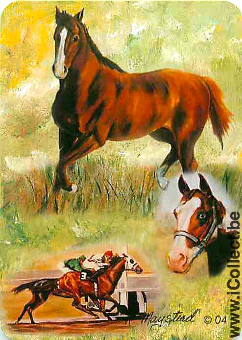 Single Playing Cards Horse Racing (PS05-49D)