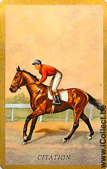 Single Playing Cards Horse Racing Jockey (PS08-08I)