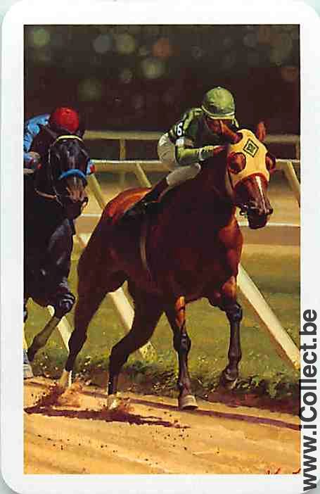 Single Playing Cards Horse Racing (PS13-21D)