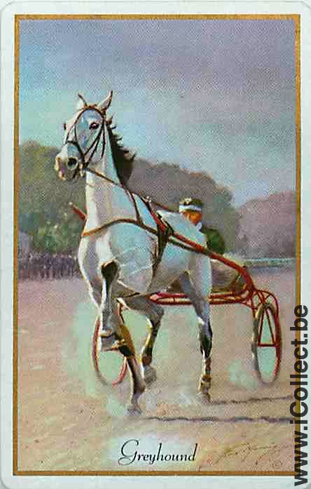 Single Playing Cards Horse Racing (PS02-46A)