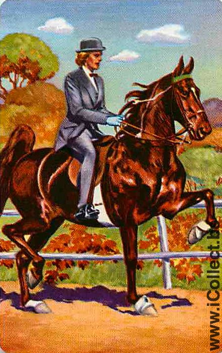 Single Playing Cards Horse and Man (PS13-27G)