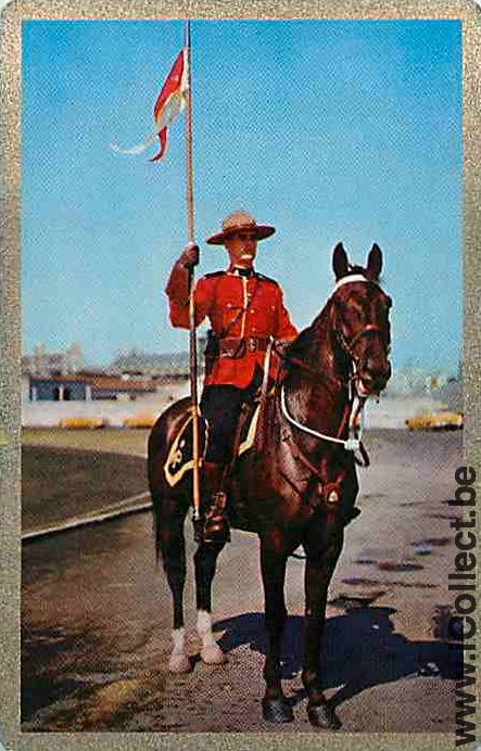 Single Playing Cards Horse Canadian Guard (PS13-27H)
