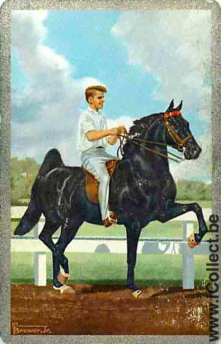 Single Swap Playing Cards Horse and Boy (PS04-60G)
