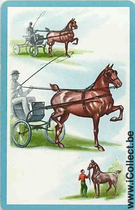 Single Playing Cards Horse Carriage (PS02-57E)