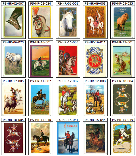 Lot - 20 HORSE Single Playing Cards (PS99-02A)