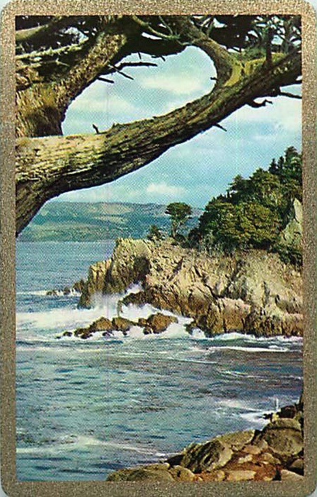 Single Playing Cards Landscape Sea (PS16-51G)