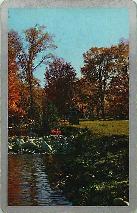 Single Playing Cards Landscape River (PS16-54B) - Click Image to Close