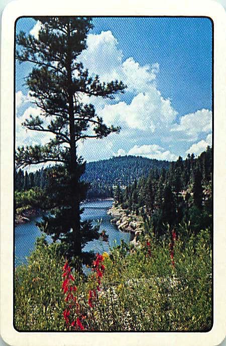 Single Playing Cards Landscape River (PS16-54F) - Click Image to Close