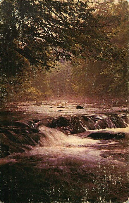 Single Playing Cards Landscape River (PS16-55A)