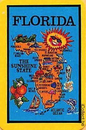 Single Playing Cards Map USA Florida ***Mini*** (PS16-23E)