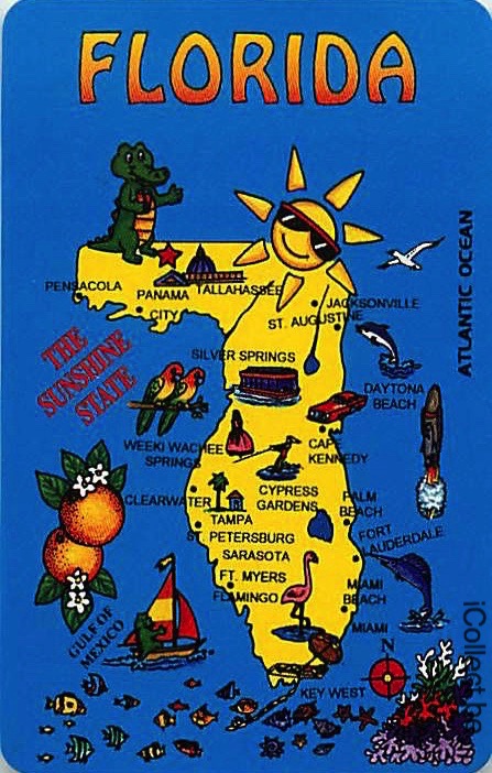 Single Swap Playing Cards Map USA Florida (PS16-23I) - Click Image to Close