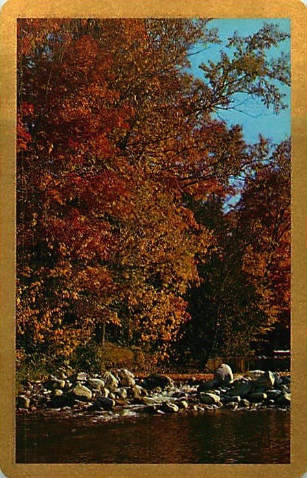 Single Playing Cards Seasons Autumn (PS16-48A) - Click Image to Close