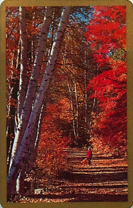 Single Playing Cards Seasons Autumn (PS16-48B) - Click Image to Close