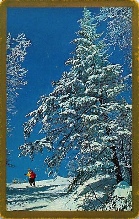 Single Playing Cards Seasons Winter (PS16-49F) - Click Image to Close