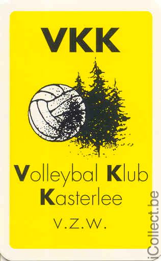 Single Swap Playing Cards Sport Volleyball (PS03-13A)